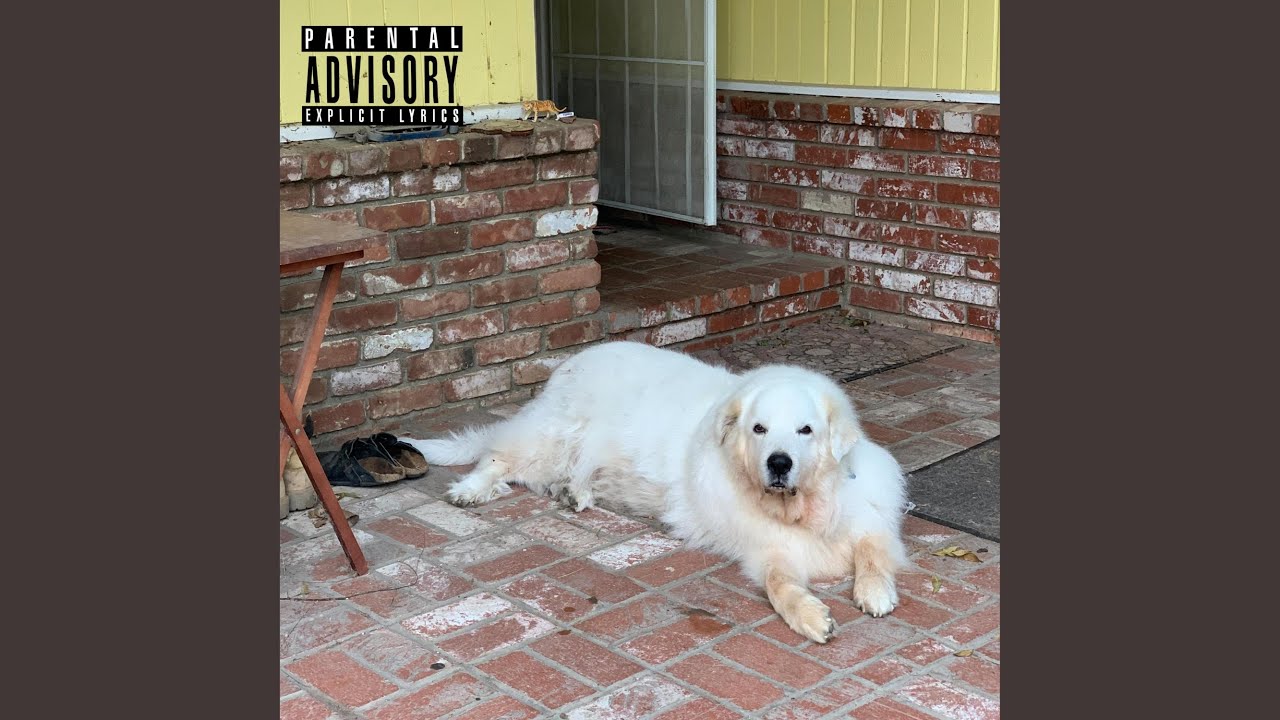 I'll Tell You Something