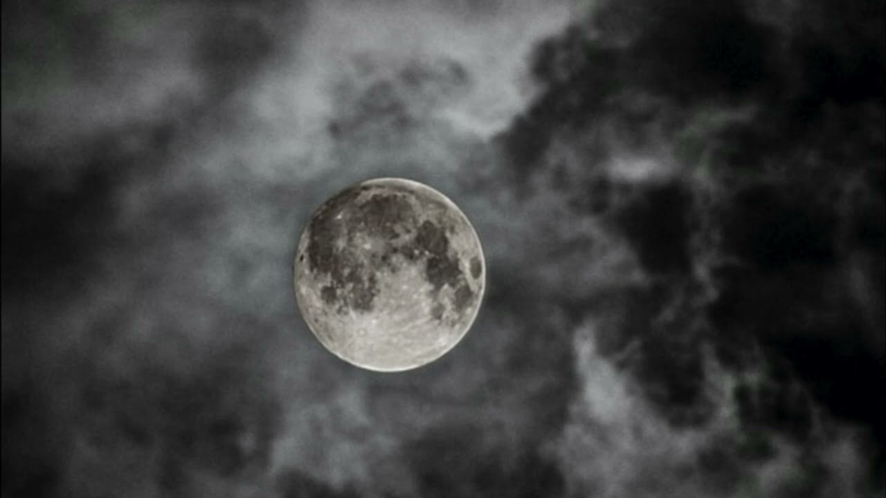 La notte (originale di Salvatore Adamo) interpretata da Francesca Sassu. 