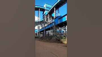 My Vlog VIDEO || Nmdc plAnt #short