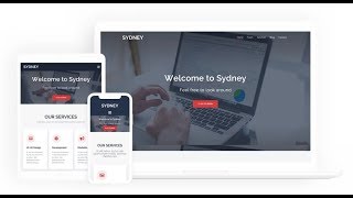 Sydney WordPress Homepage setup 3