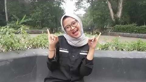 MantaWatch Internship Program 2018 - Revani Utami - Bogor Agricultural University