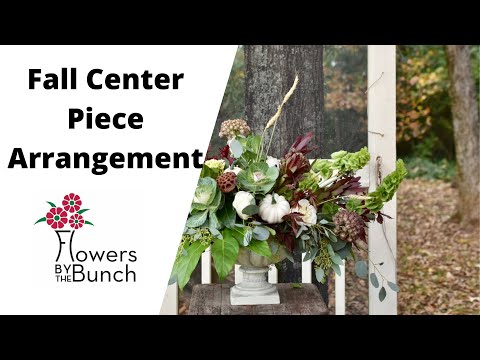Video: Květinová výzdoba na Den díkůvzdání – Jak pěstovat rostliny na stůl na Den díkůvzdání