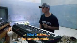 Pria Idaman. (Karaoke/Lirik) versi Remix dangdut...new yamaha sx900
