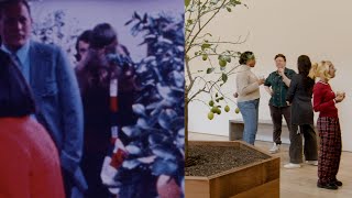 Portable Orchard Feast | Whitney Museum Staff Celebration