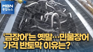 [세상돋보기] '금장어'는 옛말…민물장어 가격 반토막 이유는? [MBN 종합뉴스]