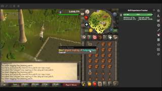 OSRS - Calquat planting (67.9K xp/h)