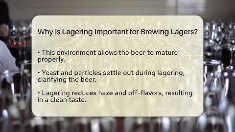 Why Is Lagering Important for Brewing Lagers? | The Pint Guy