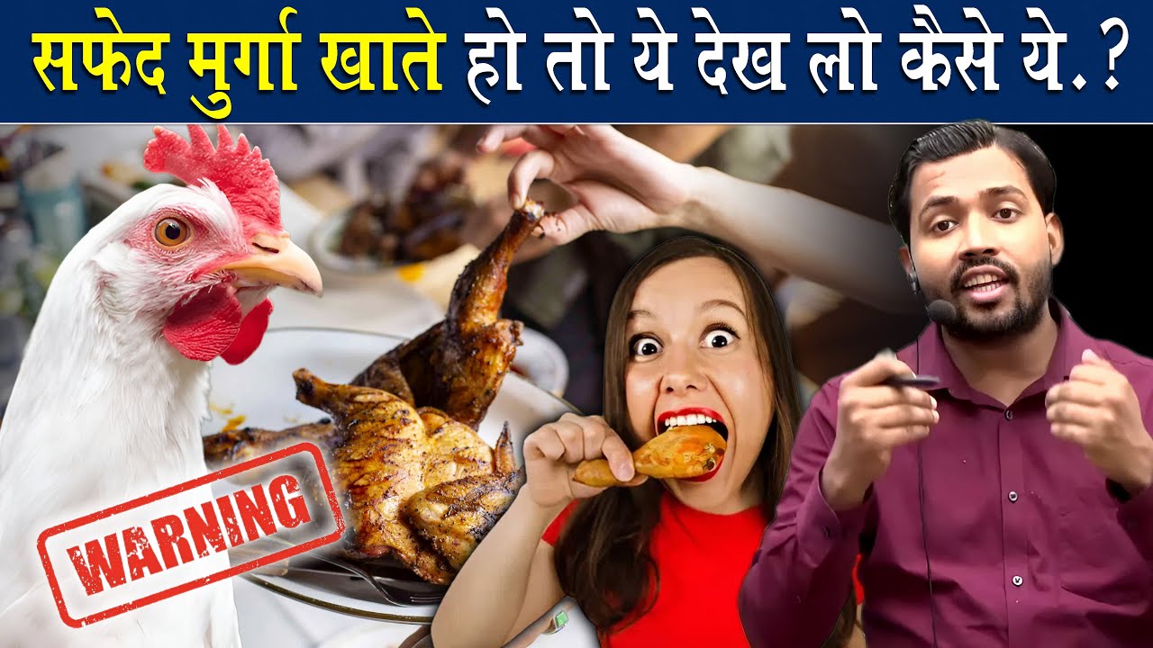 सफेद मुर्गा की ये हकीकत नहीं पता होगी || White Chicket Reality