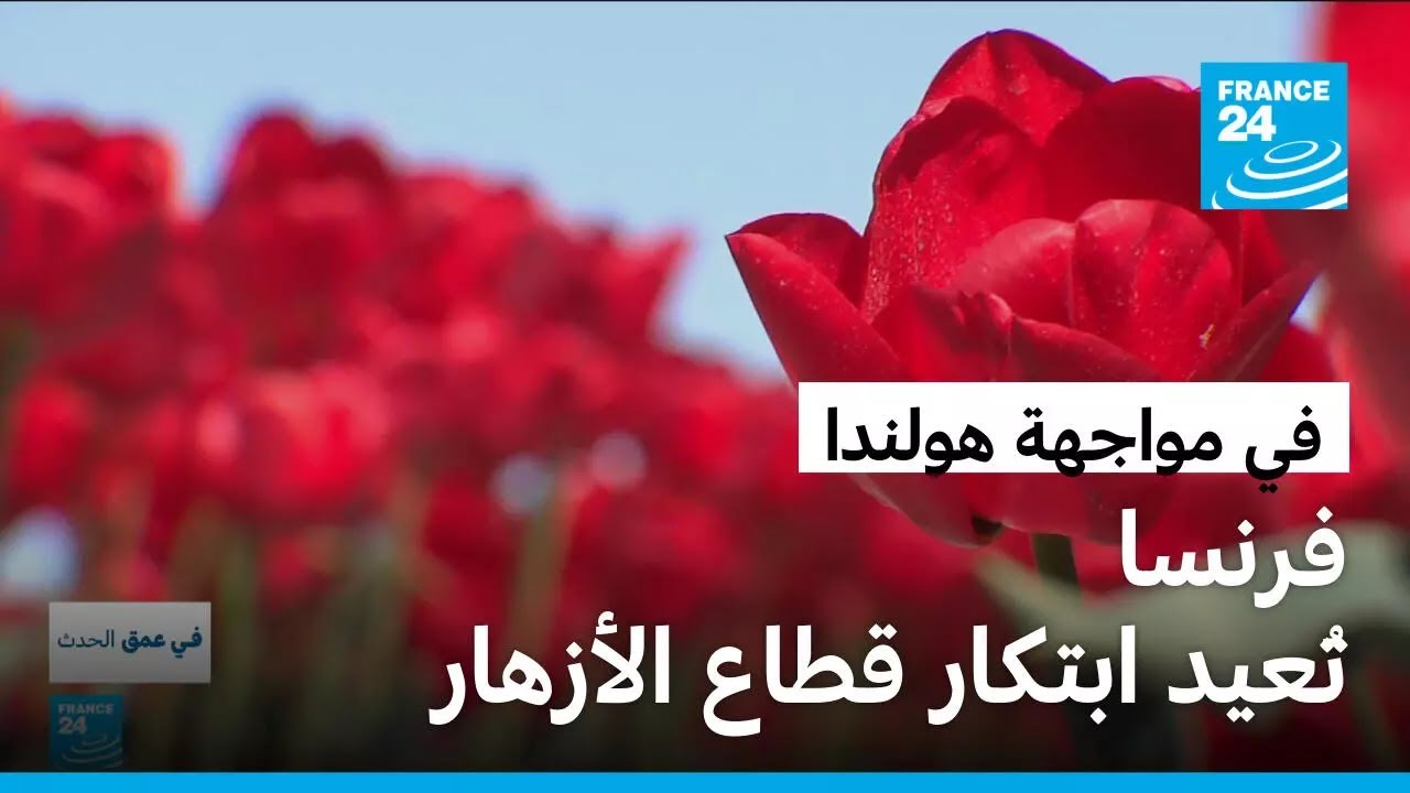 �� ������ ������� ��������.. ����� ����� ������ ���� ������� ������ �������!
 - نشر قبل 13 دقيقة