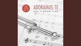 Video thumbnail of "Ave Florum Flos - Msza Adwentowa: Kyrie"