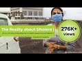 The Reality about Dholera | The truth about Development and latest Ground Report | Detailed Insights