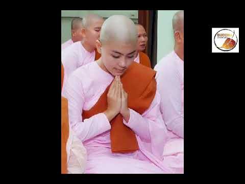 वीडियो: वियतनाम में बौद्ध भिक्षुओं ने कैसे विरोध किया?