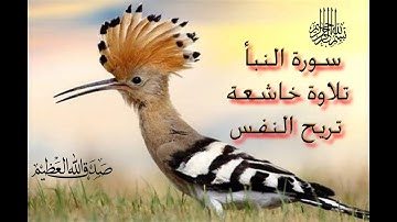 سورة النبأ كاملة تلاوة خاشعة تريح القلب