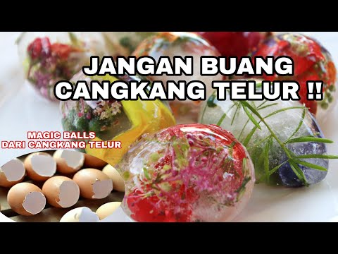 Video: Jangan Buang Kulit Telurnya