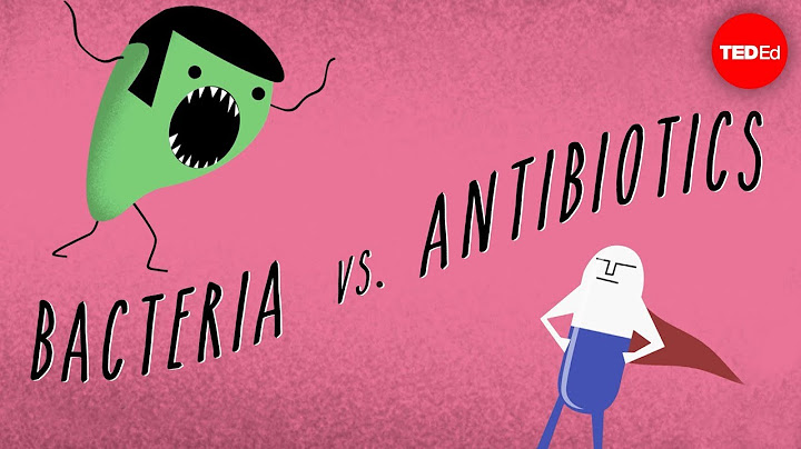 What causes antibiotic resistance? - Kevin Wu