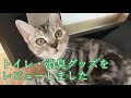 猫グッズレビュー！(トイレ・消臭グッズ編)