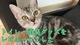 猫グッズレビュー！(トイレ・消臭グッズ編)