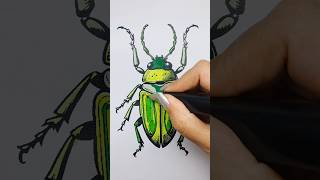 🪲 💚 #shorts #coloring #relaxing #aestheticart #satisfyingvideo #arttherapy #digitalart #bug