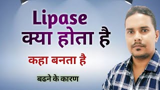 Lipase क्या होता है | lipase test in hindi | what is lipase in hindi