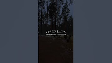 Surah Al-Imran 119-120 سورة آل عمران #quraniv #quran