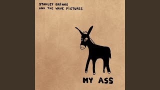 Video thumbnail of "Stanley Brinks & The Wave Pictures - My Camel"