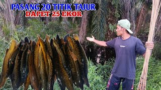 PASANG 20 TITIK TAJUR SAMPAI LARUT MALAM DAPET 25 EKOR LELE LEMBAT #BA-52