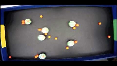 CS266 2012: Competitive-Collaborative Foraging