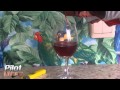 Бешеное вино  Frenzied wine