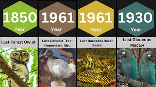 Last Extinct Animals (0000–2025) – Part 6