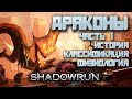 Драконы в Shadowrun [Часть 1] - История, классификация, физиология