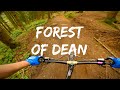 Forest of Dean - You NEED to visit these Mountain Bike Trails!