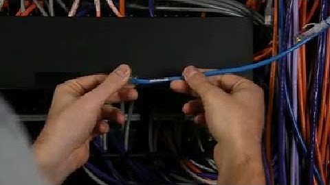 Epson LabelWorks LW-600P | Cable Wrap Labeling