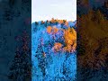 Winter Sunset in Vermont Turns Into a Painting | 4K Drone Art Short