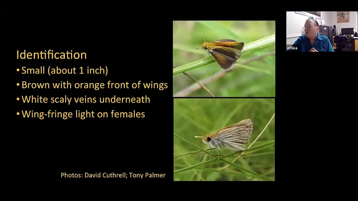 6-4-20 Susan Julian Local extinctions--Wha...  can...