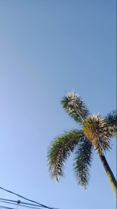 langit pagi yang cerah..#short
