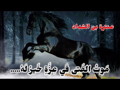 عزة النفس عند العرب عنترة بن الشداد 