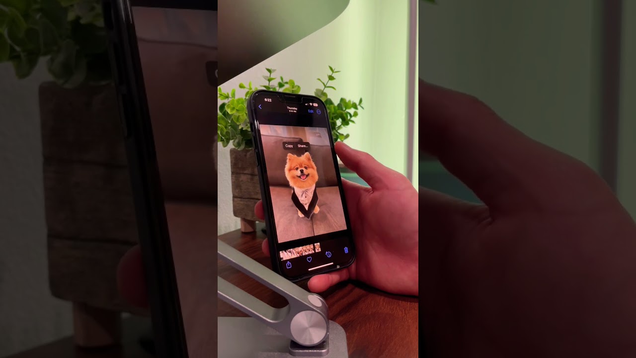 iOS 16 update - Remove background from photos!