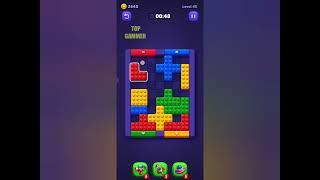 Block Out! Color Sort Puzzle level 43 gameplay walkthrough solution