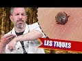 SALES BÊTES #3 : LES TIQUES