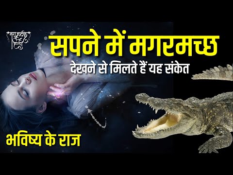 वीडियो: मगरमच्छ क्यों सपना देख रहा है