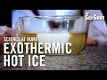 Exothermic Reactions and Hot Ice Quiz