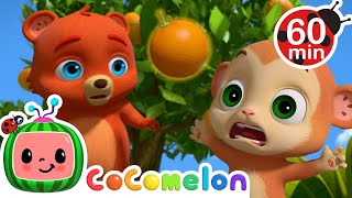 Fruit Keeps Growing and Growing! | Animals for Kids | Funny Cartoons | Learn about Animals