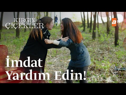 Kader ve Eylül'ün yardım çığlıkları! - Kırgın Çiçekler 81. Bölüm