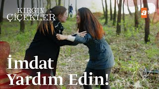 Kader ve Eylül'ün yardım çığlıkları! - Kırgın Çiçekler 81. Bölüm