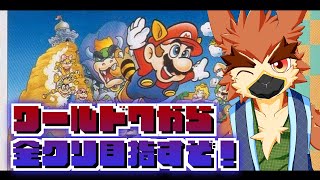 【スーパーマリオブラザーズ３】決着のひげ【善知鳥たかちよ】