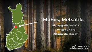 Myytävänä metsätila Muhoksella 🌲