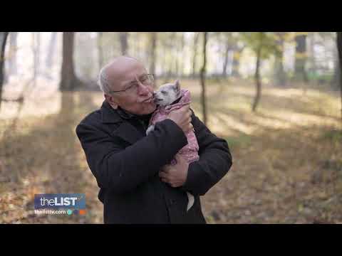 Video: Hvorfor Denne Vet mener, at du bør overveje at vedtage et Senior Pet