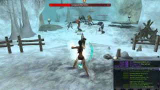 Vindictus glitches