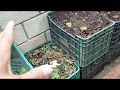 Como hacer tierra vegetal de una manera facil y ordenada