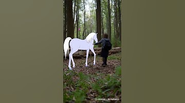 AI Wonder: Magical Encounter with a Unicorn! 🌳🦄🦋✨